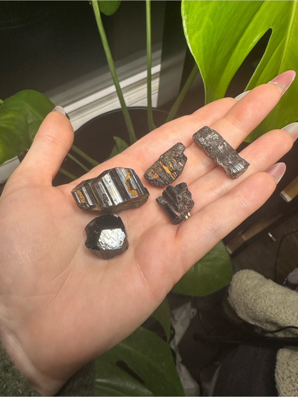 Black Tourmaline Raw Crystal; Set of 5 pieces